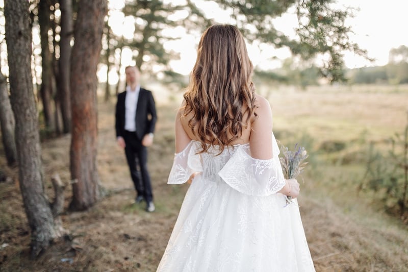 Celestial Wedding Dress